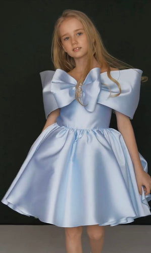 Blue Princess Dress 