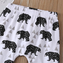 Load image into Gallery viewer, Bear Print Top &amp; Bottom Set
