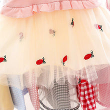 Load image into Gallery viewer, Strawberry Embroidery Frock
